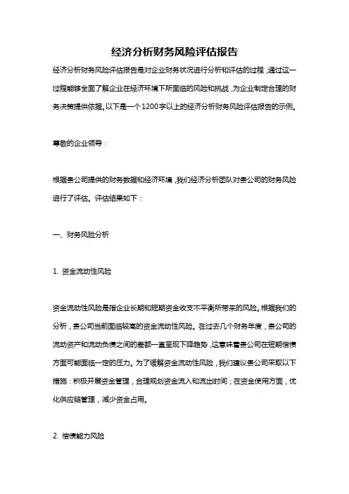 经济分析财务风险评估报告