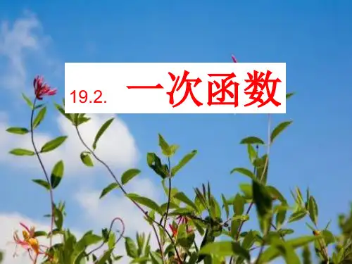 人教版八年级下册 19.2 一次函数 课件(共74张PPT)