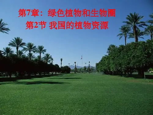 我国的植物资源