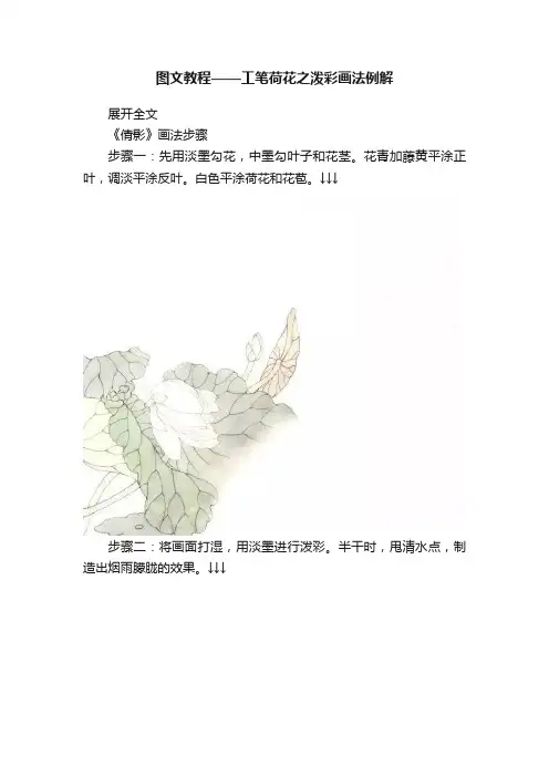 图文教程——工笔荷花之泼彩画法例解