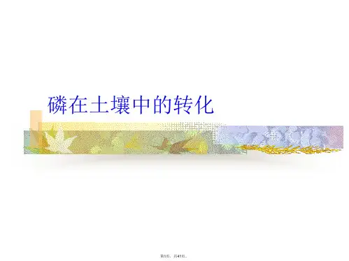 磷在土壤中的转化
