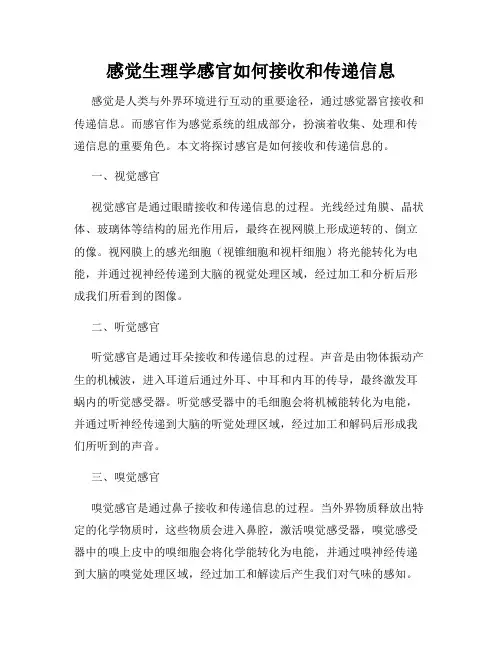 感觉生理学感官如何接收和传递信息