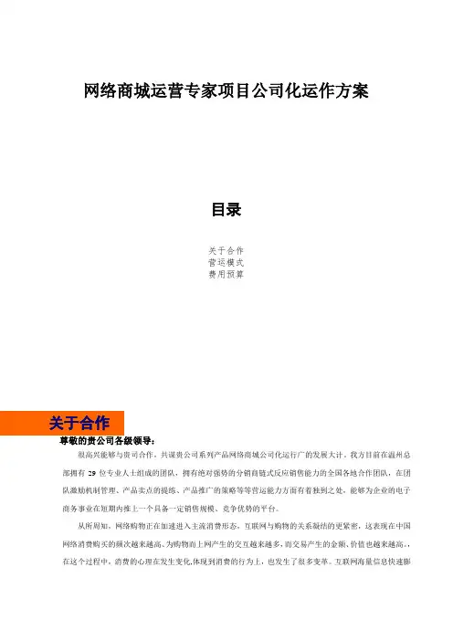 网络商城运营专家项目公司化运作计划书