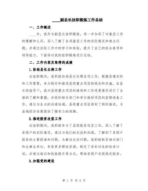 2024副县长挂职锻炼工作总结