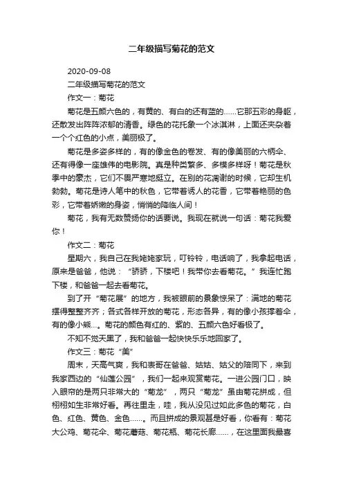 二年级描写菊花的范文