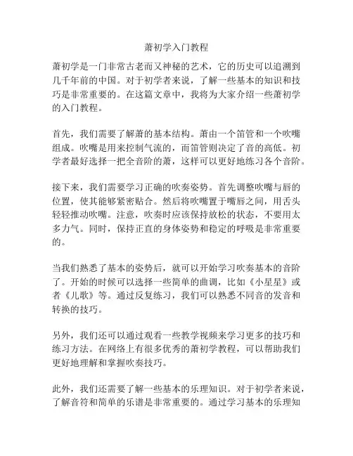 萧初学入门教程