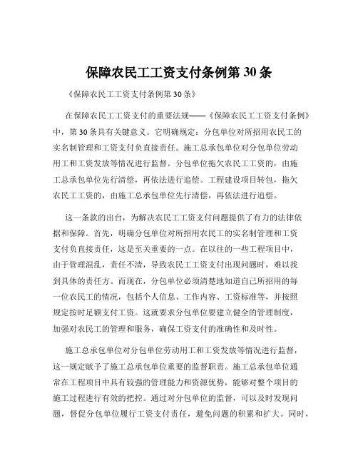 保障农民工工资支付条例第30条