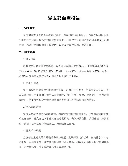 党支部自查报告
