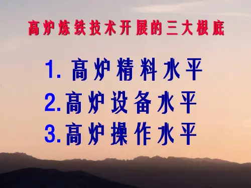关于高炉含铁原料优化的若干技术问题幻灯片PPT