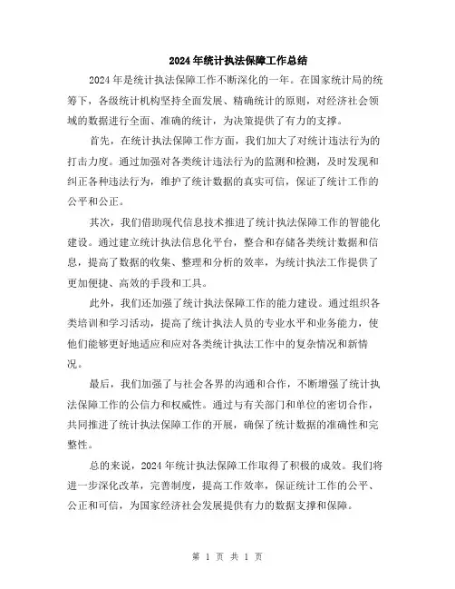 2024年统计执法保障工作总结