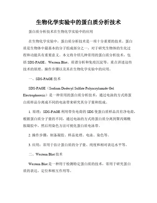 生物化学实验中的蛋白质分析技术