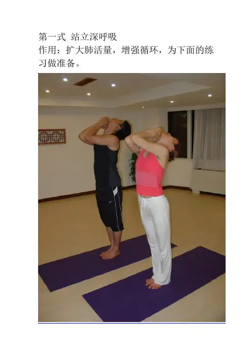 经典瑜伽全套动作