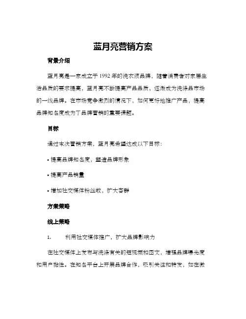 蓝月亮营销方案