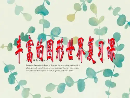 丰富的图形世界_复习课