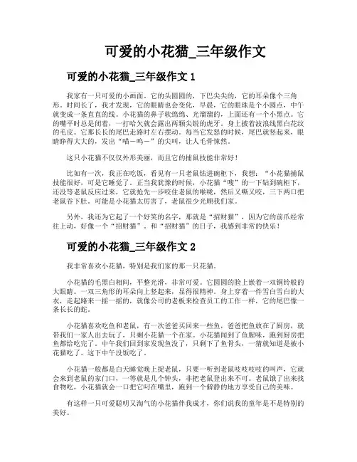 可爱的小花猫三年级作文