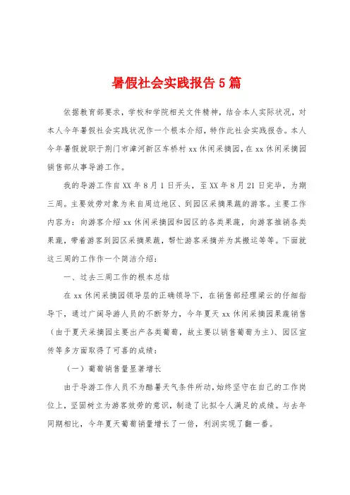 暑假社会实践报告5篇