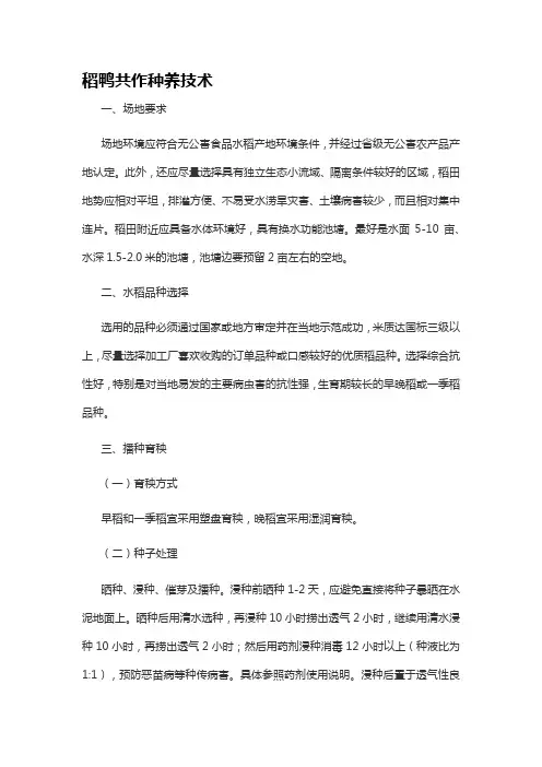 稻鸭共作种养技术
