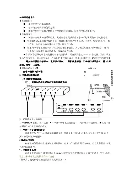 神经干动作电位的测定