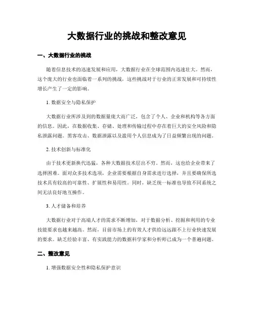 大数据行业的挑战和整改意见