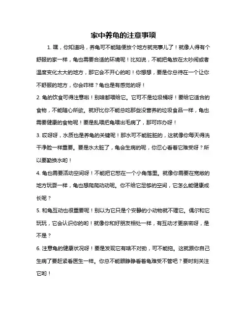 家中养龟的注意事项