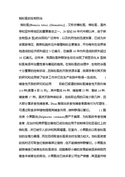 烟粉虱的生物防治