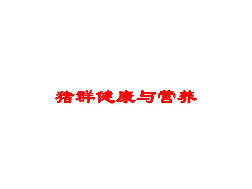猪群健康与营养培训课件