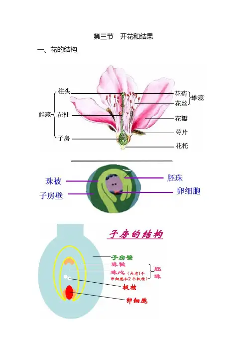 第三节 开花和结果
