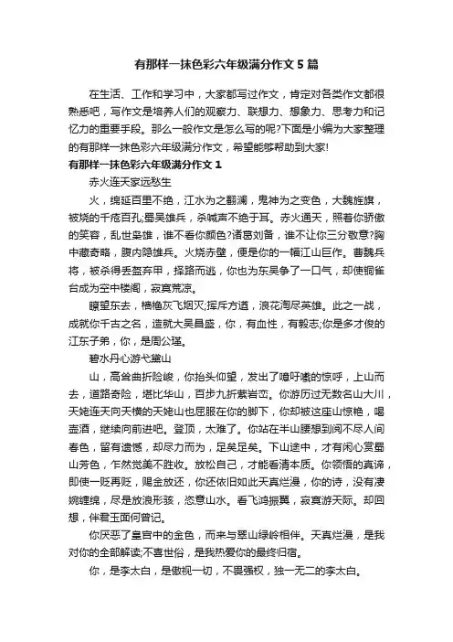 有那样一抹色彩六年级满分作文5篇