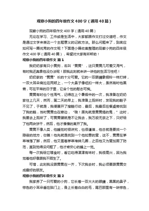 观察小狗的四年级作文400字（通用40篇）