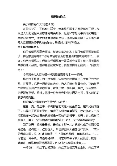 关于枫树的作文（精选8篇）