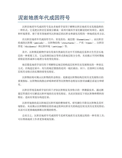 泥岩地质年代成因符号