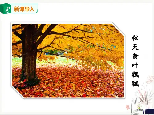 部编版七年级上册《天的怀念》精美课件