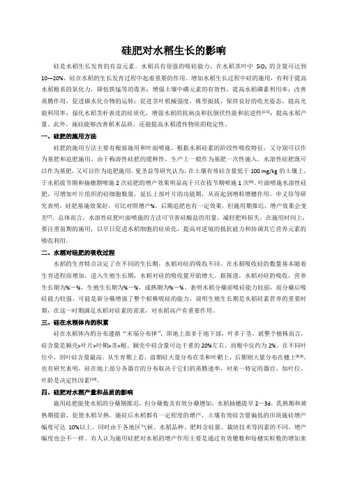 硅肥对水稻生长的影响