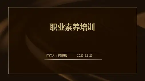 职业素养培训ppt
