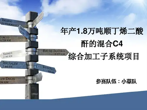 化工设计大赛PPT(共 46张)