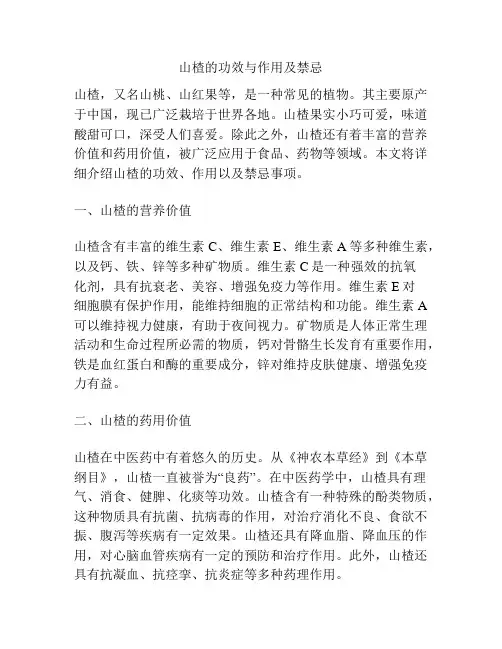 山楂的功效与作用及禁忌