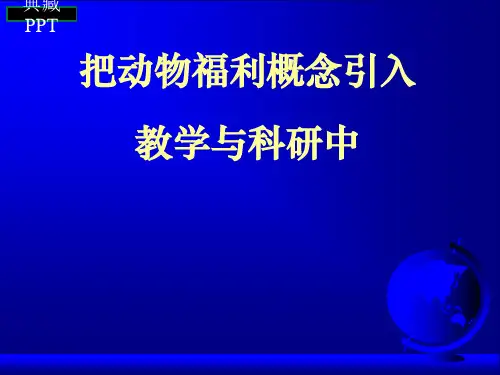 动物福利报告PPT课件