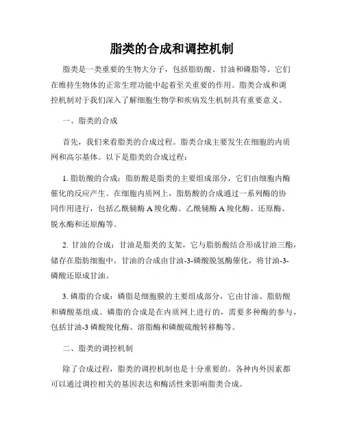 脂类的合成和调控机制