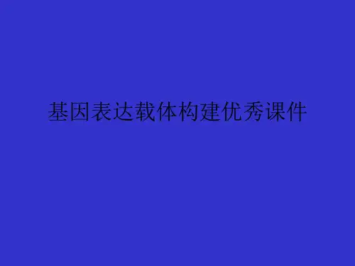 基因表达载体构建优秀课件