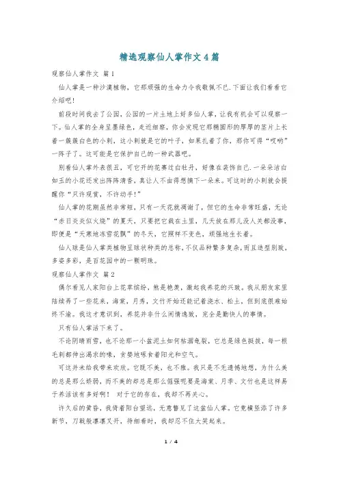精选观察仙人掌作文4篇
