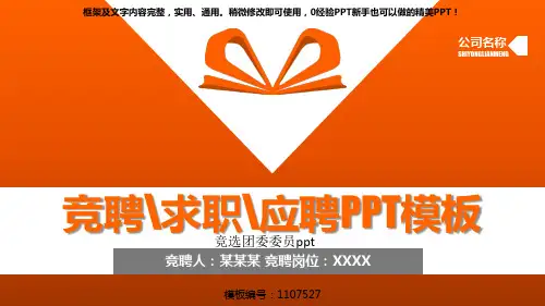 【实用PPT】竞选团委委员ppt