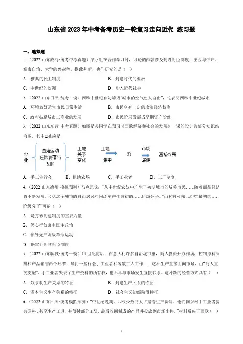 山东省2023年中考备考历史一轮复习走向近代 练习题(含解析)