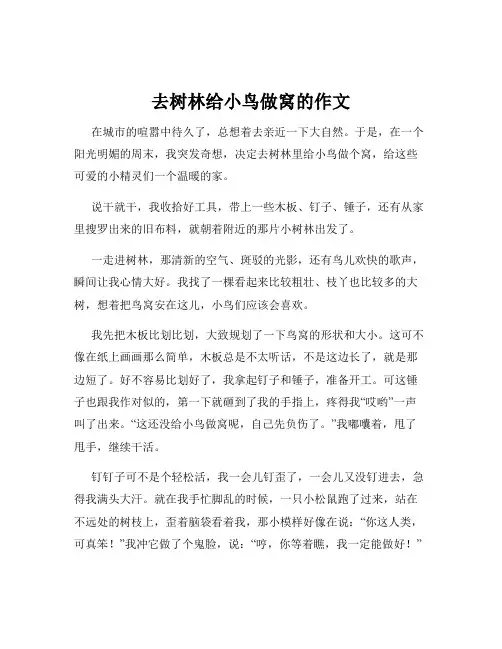 去树林给小鸟做窝的作文