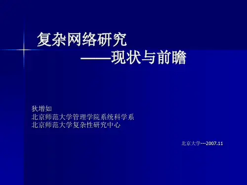 复杂网络研究现状展望