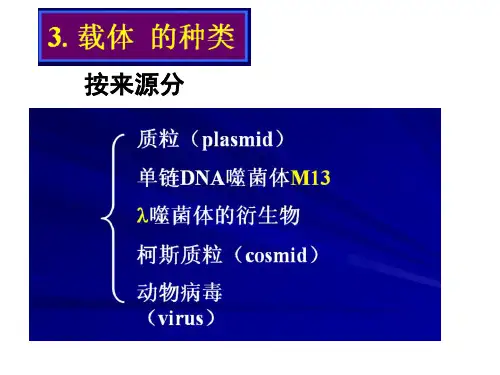 载体的种类6