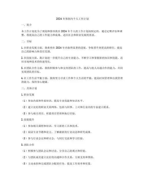 2024年体制内个人工作计划