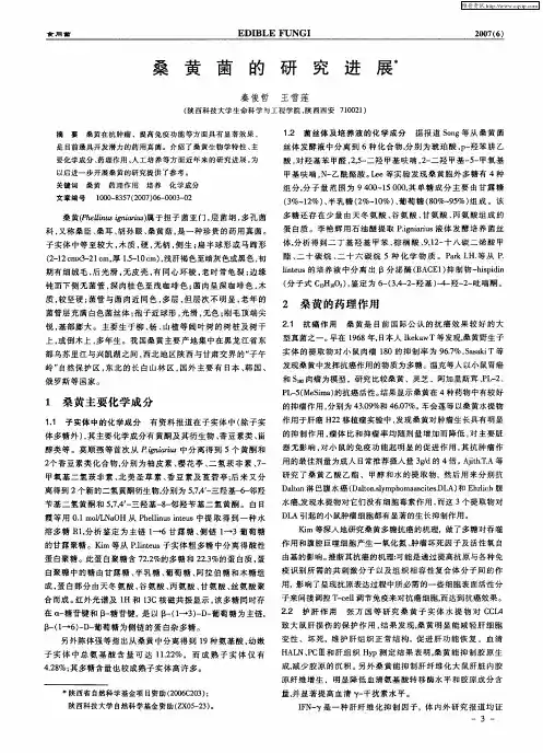 桑黄菌的研究进展