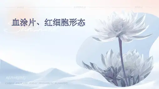 血涂片、红细胞形态