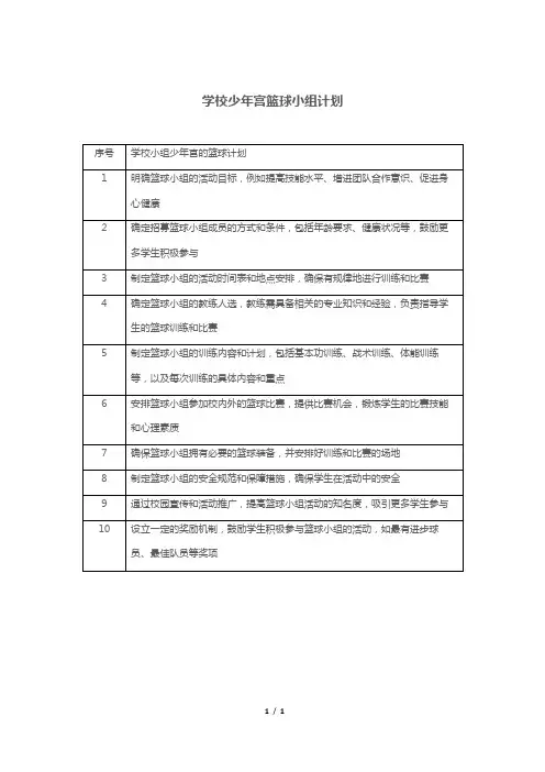 学校少年宫篮球小组计划