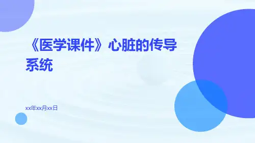 (医学课件)心脏的传导系统